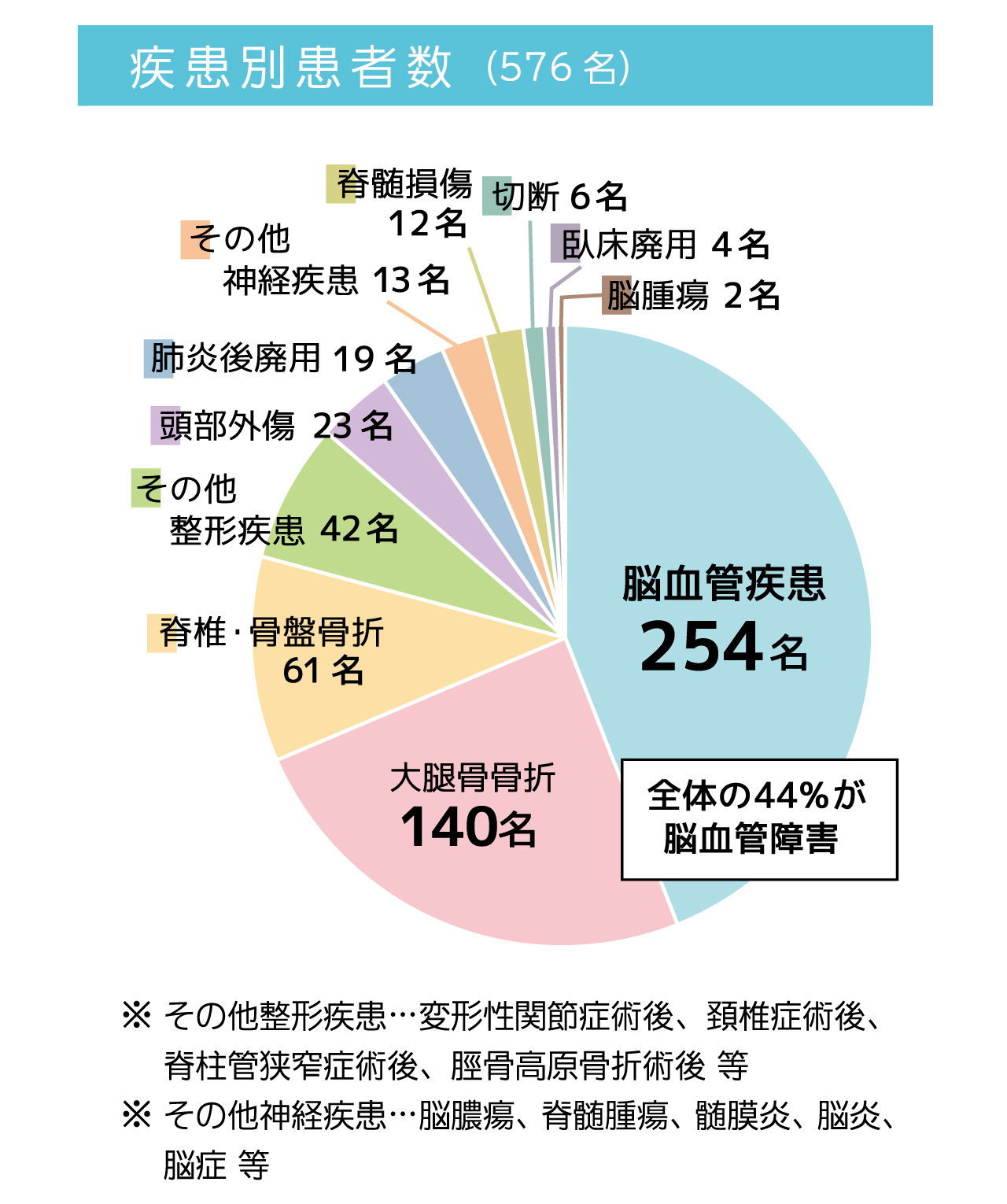 疾患別患者数　脳血管疾患254名　大腿骨骨折140名　脊椎・骨盤骨折61名　その他整形疾患42名　頭部外傷23名　肺炎後廃用19名　その他神経疾患13名　脊髄損傷12名　切断6名　臥床廃用4名　脳腫瘍2名　合計576名　全体の44%が脳血管障害